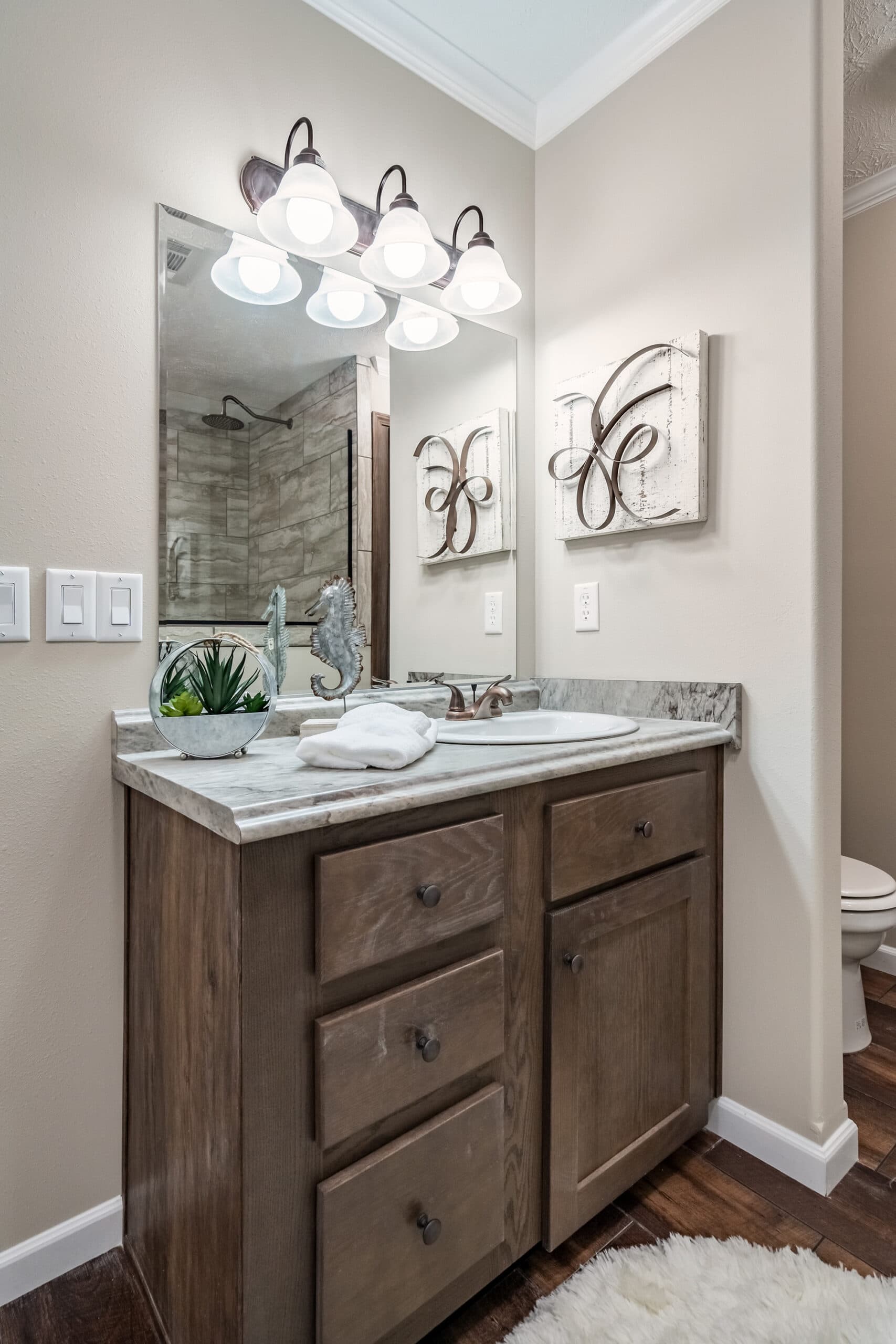 Tiger cat bathroom home features