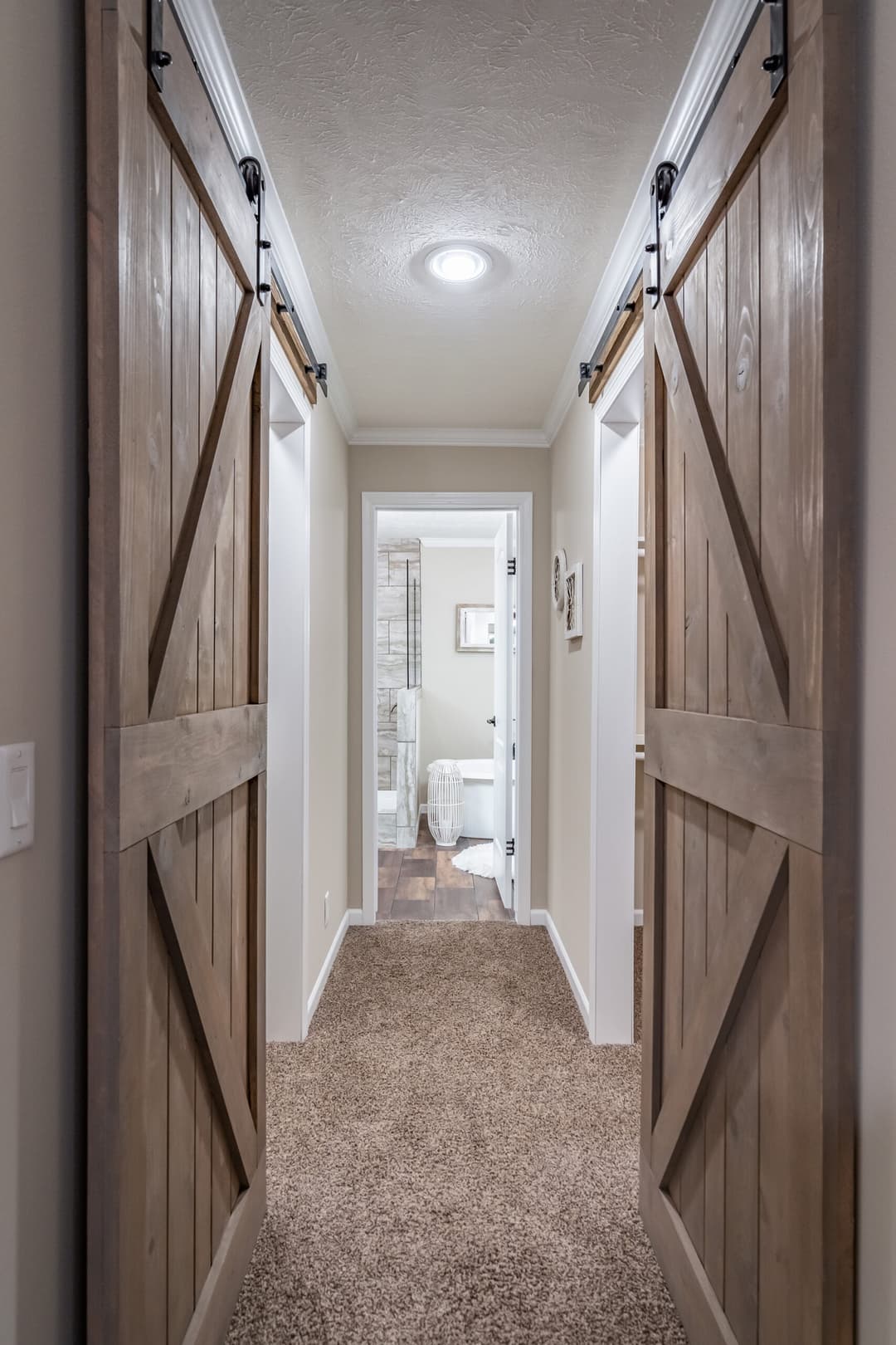Tiger cat interior home features
