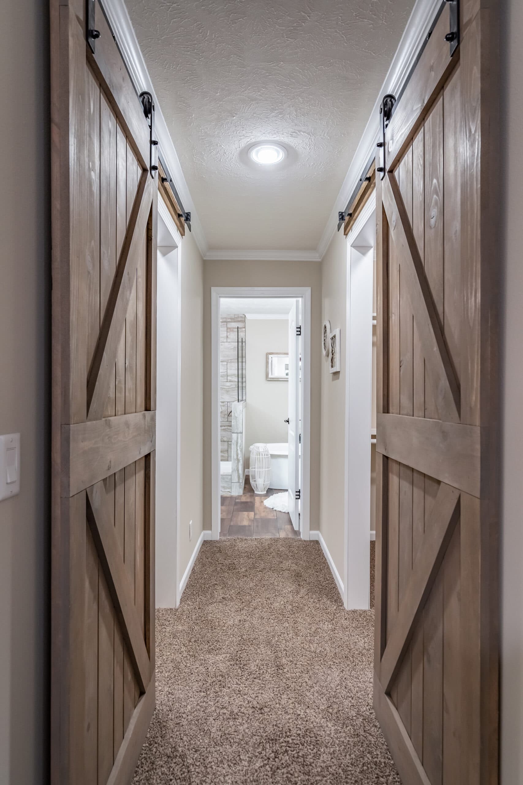 Tiger cat interior home features