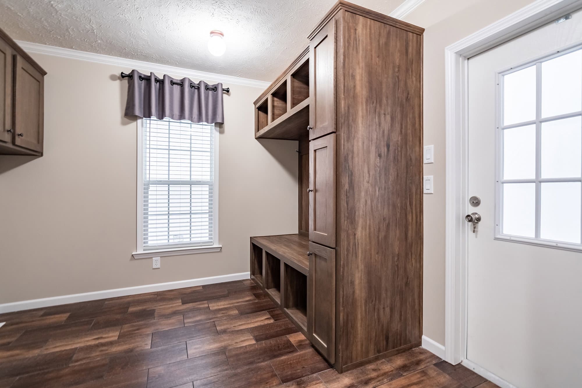 Tiger cat interior home features