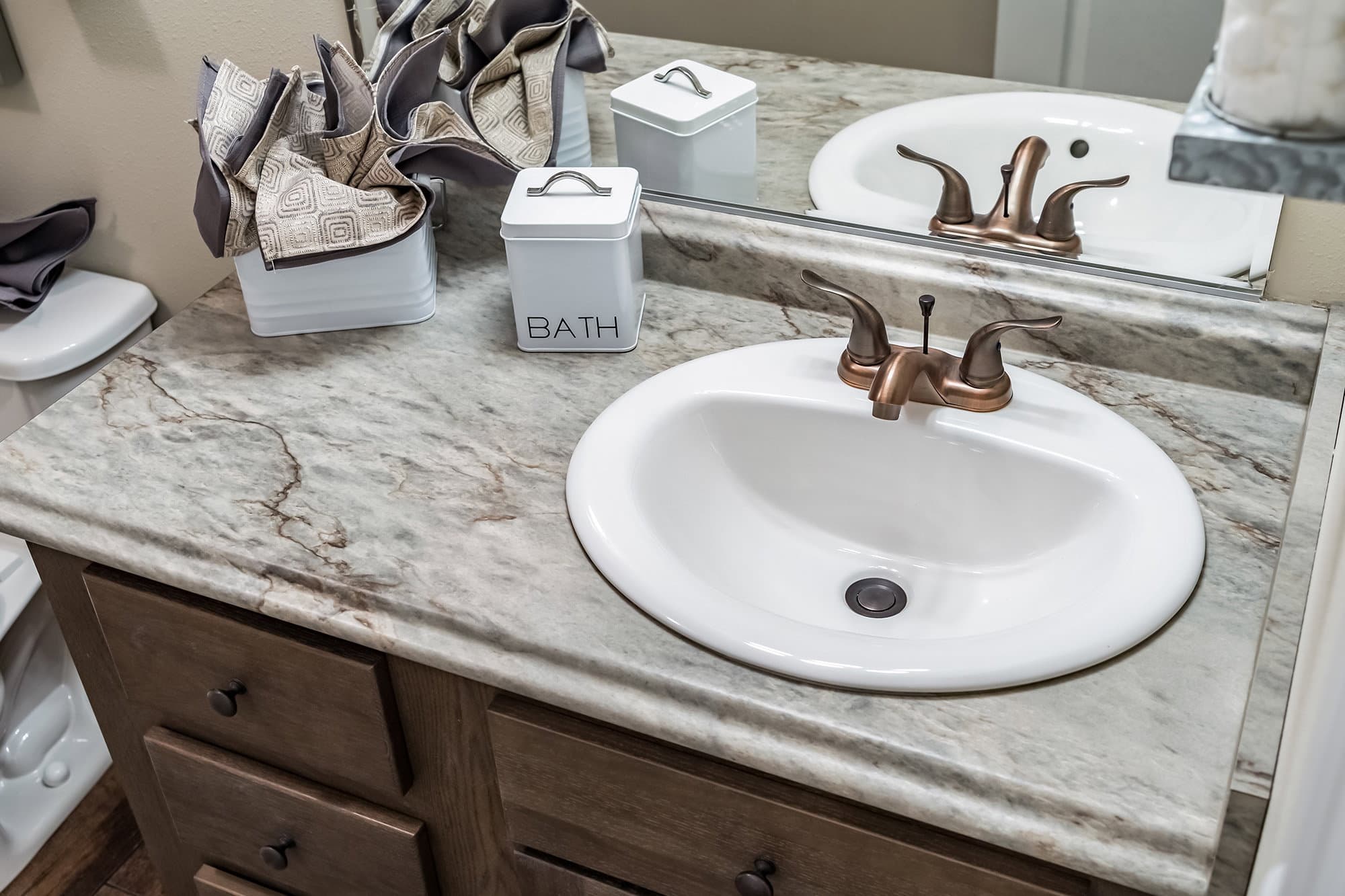Tiger cat bathroom home features