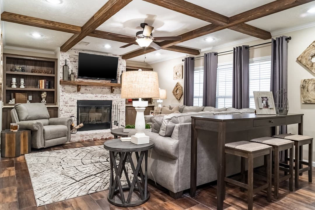 Tiger cat interior home features