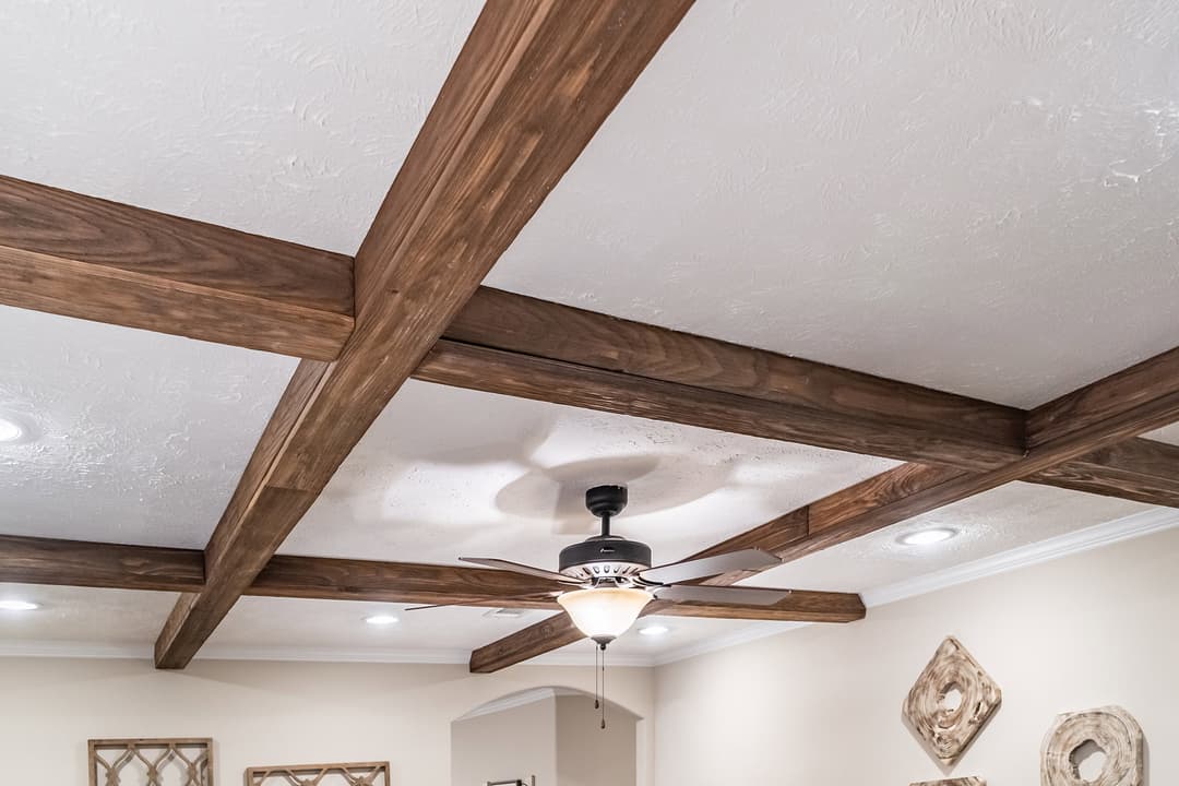 Tiger cat interior home features